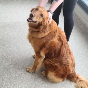 Meet your Posher, Caroline